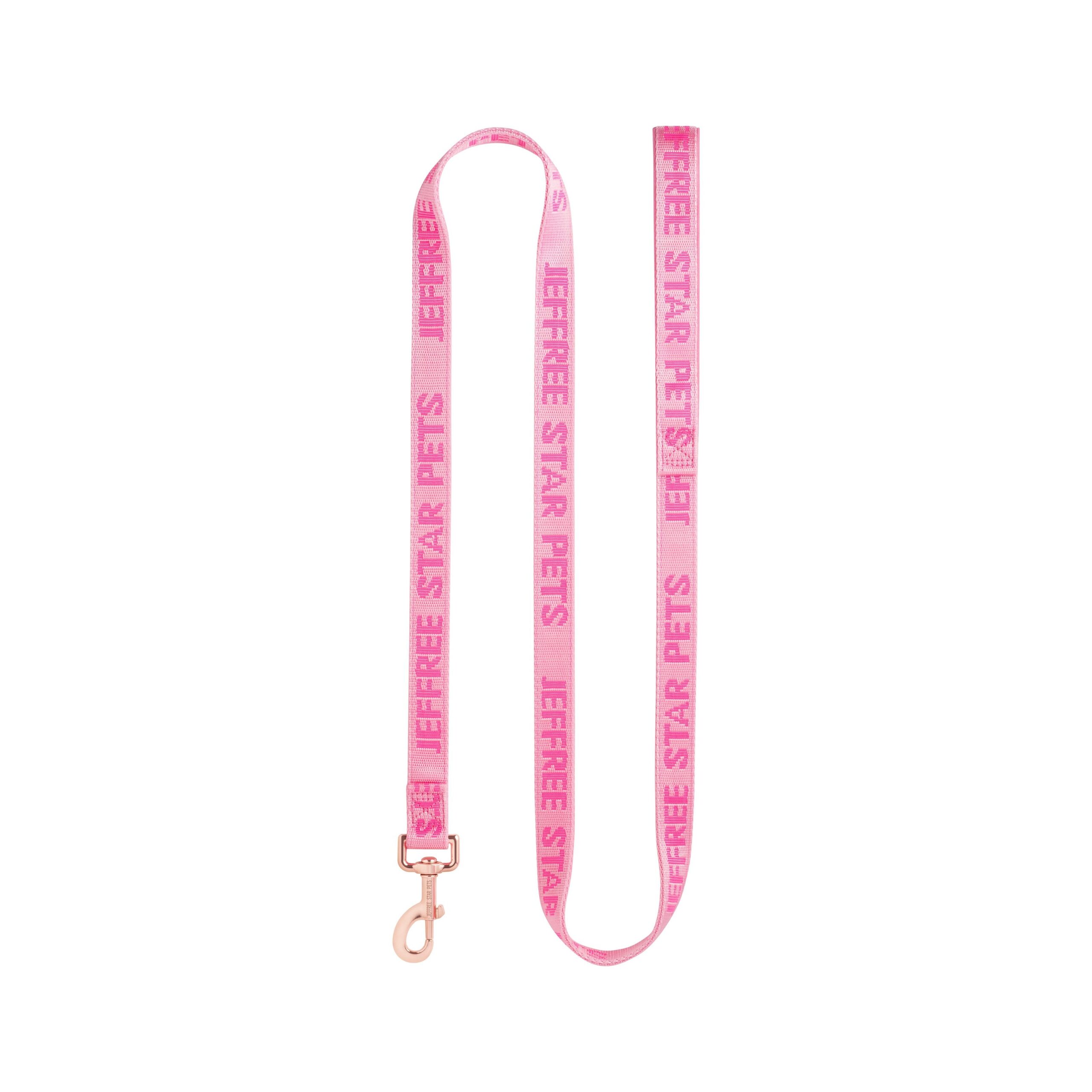 01PinkDogLeash-L